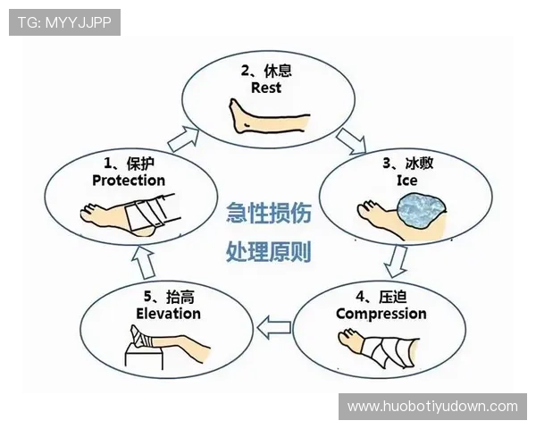 全面解析体育平台接口的设计原则与实现技术指南